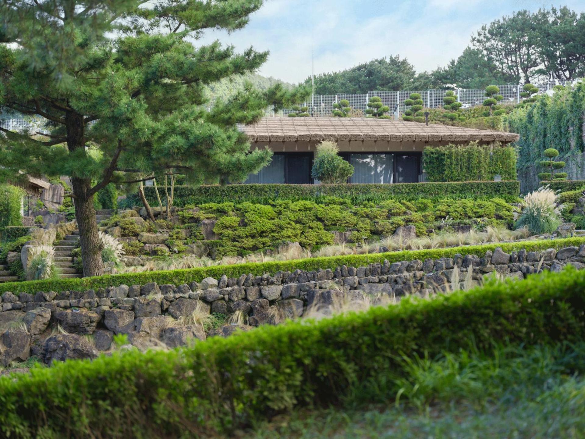 Amber Pure Hill Hotels&Resorts Jeju Exterior foto